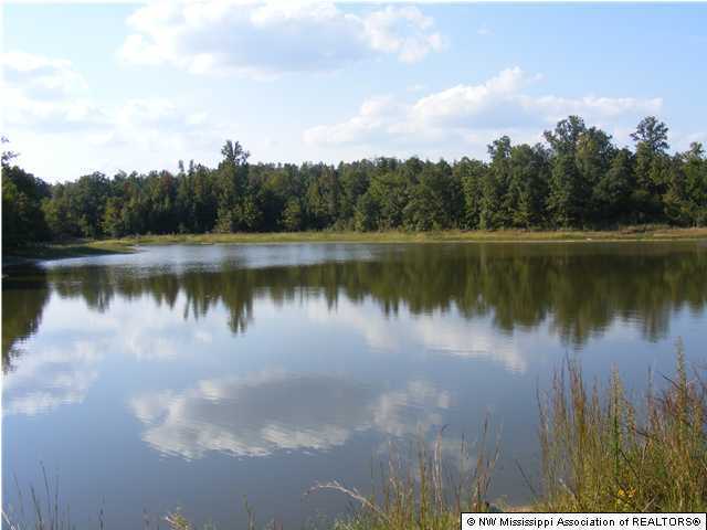 635 Wayne Massie Road, Unit B Como, MS 38619 - Photo 1 of 2 Primary Photo