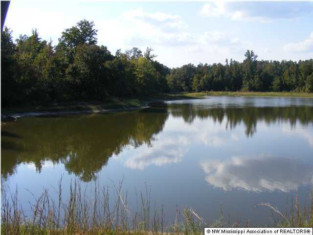 635 Wayne Massie Road, Unit B Como, MS 38619 - Photo 2 of 2 Additional Photo
