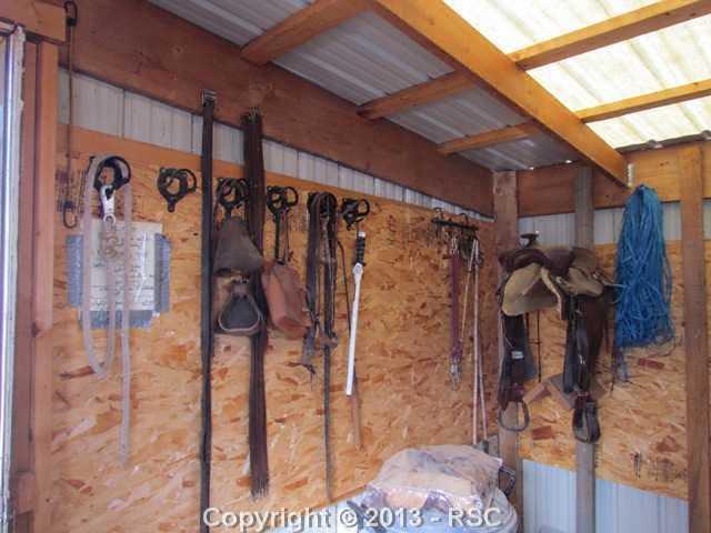 80 Post Road Guffey, CO 80820 - Photo 17 of 24 Inside of tack room/shed