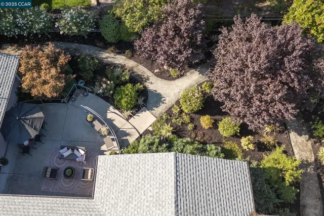 a bunch of trees with some plants