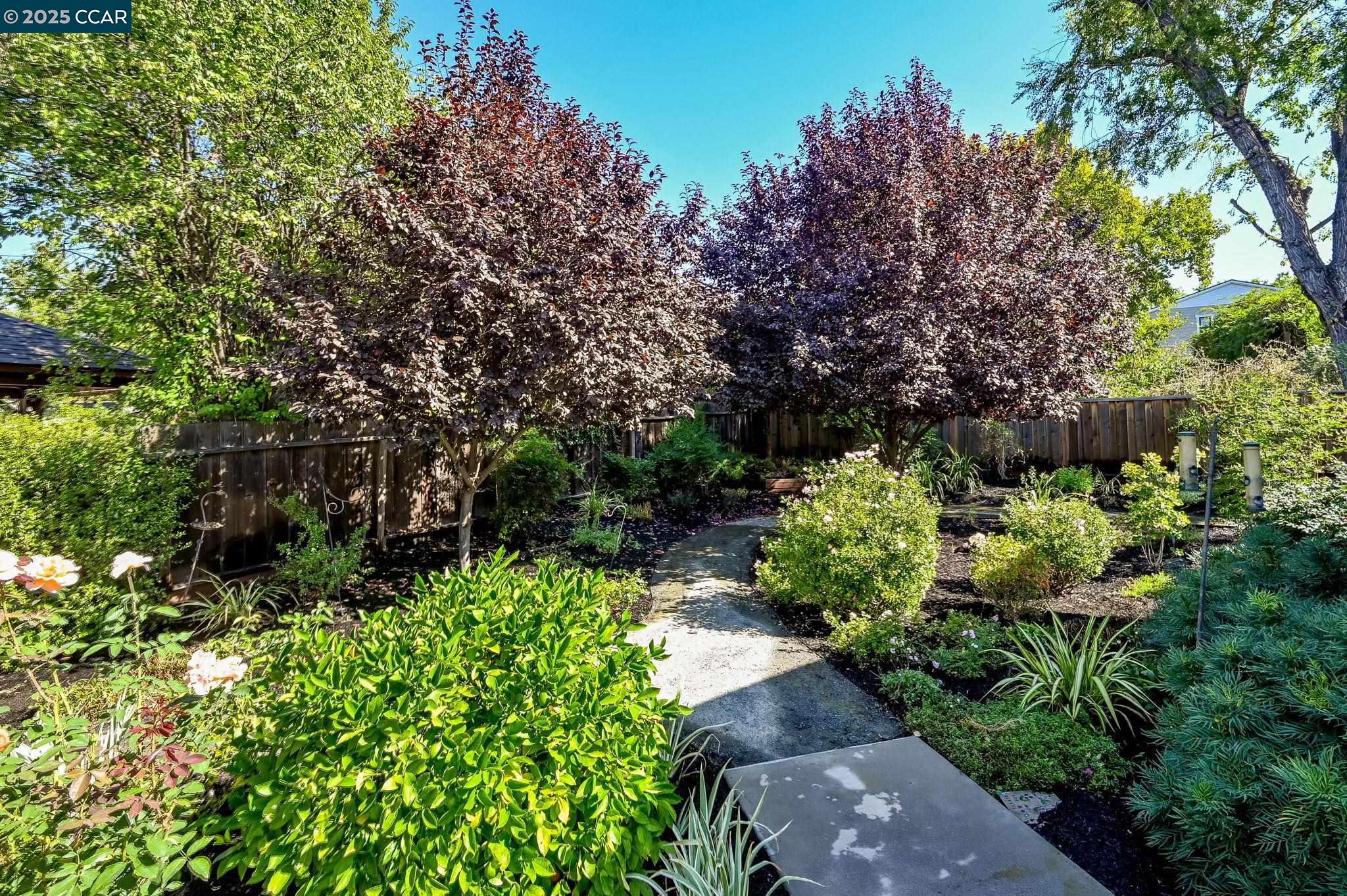 1096 Mountain View Boulevard Walnut Creek, CA 94596 - Photo 38 of 49 a bunch of trees with some plants