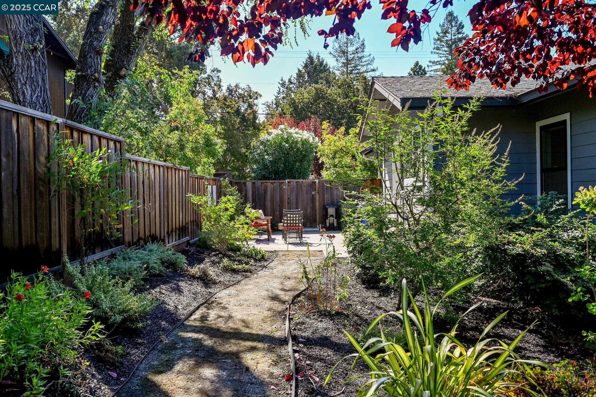 1096 Mountain View Boulevard Walnut Creek, CA 94596 - Photo 42 of 49 a backyard of a house with lots of green space and trees