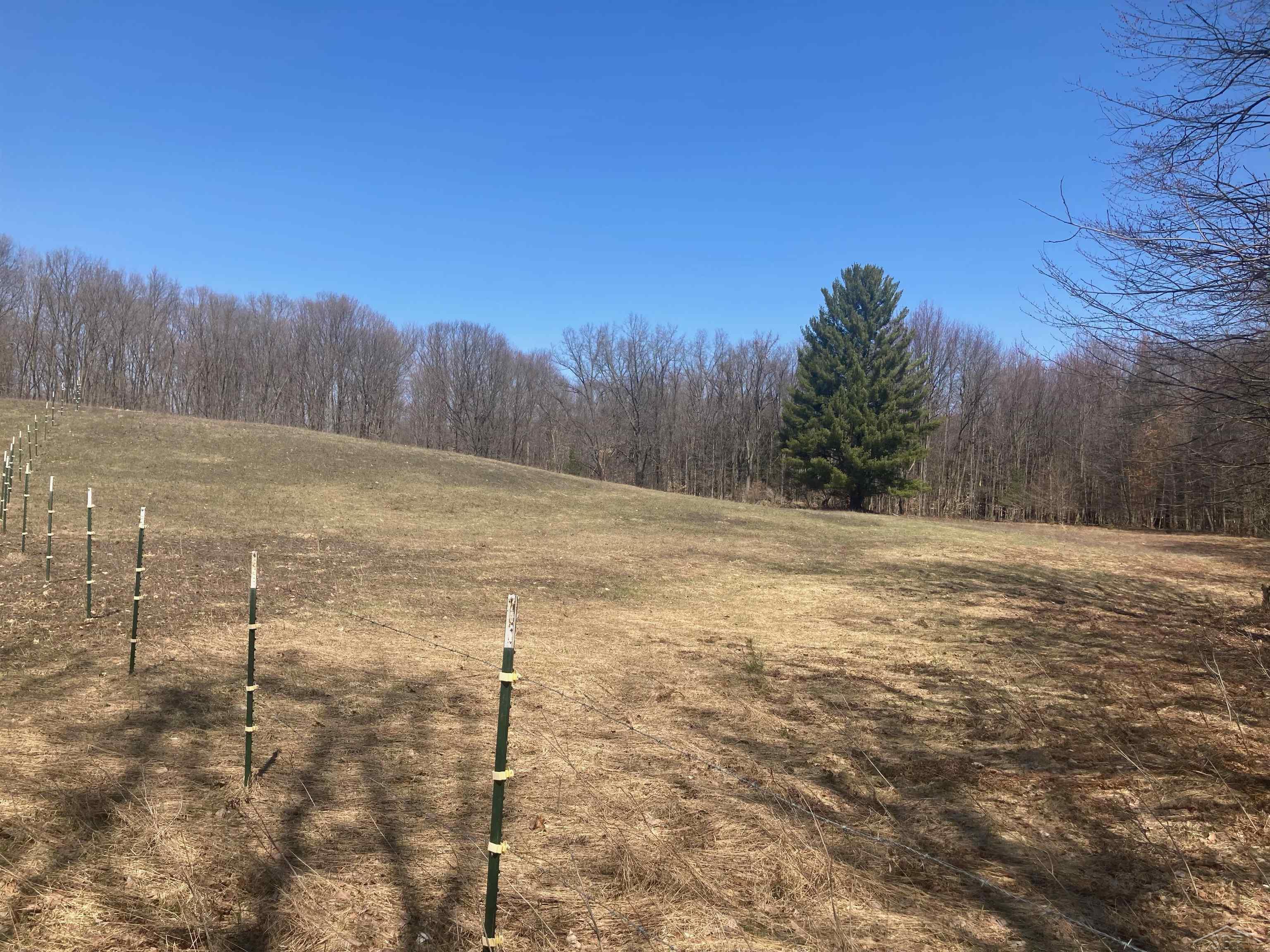 8353 West 12 Mile Road Bitely, MI 49309 - Photo 24 of 33