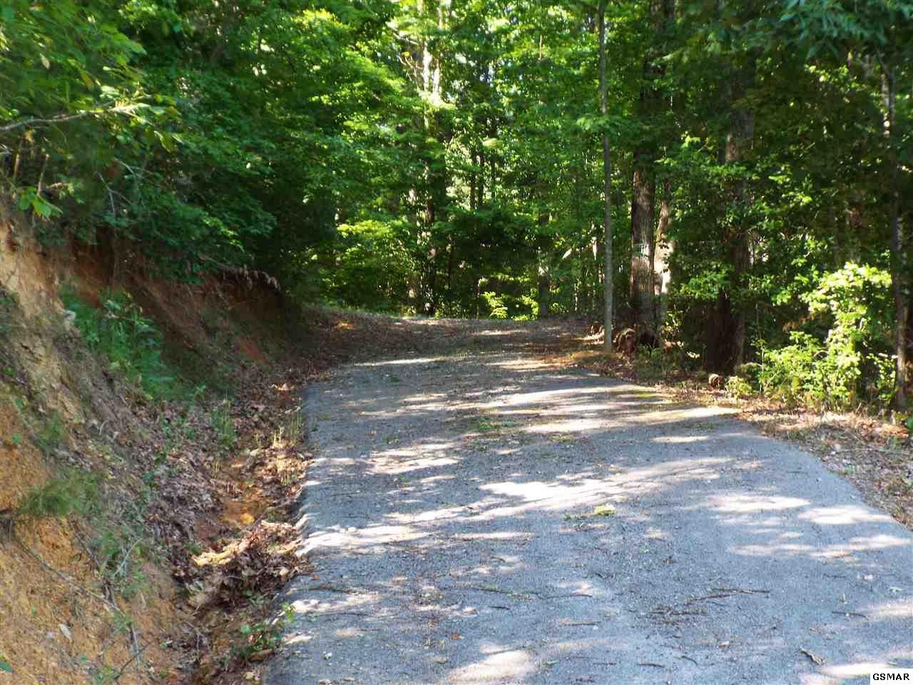 0 Greasy Cove Road Cosby, TN 37722 - Photo 2 of 26 Gallery Image 2