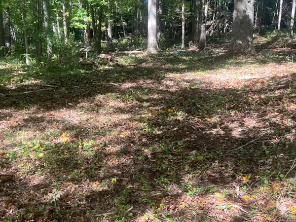 $580,000 | 77 Foster Road, Waterford, CT 06385