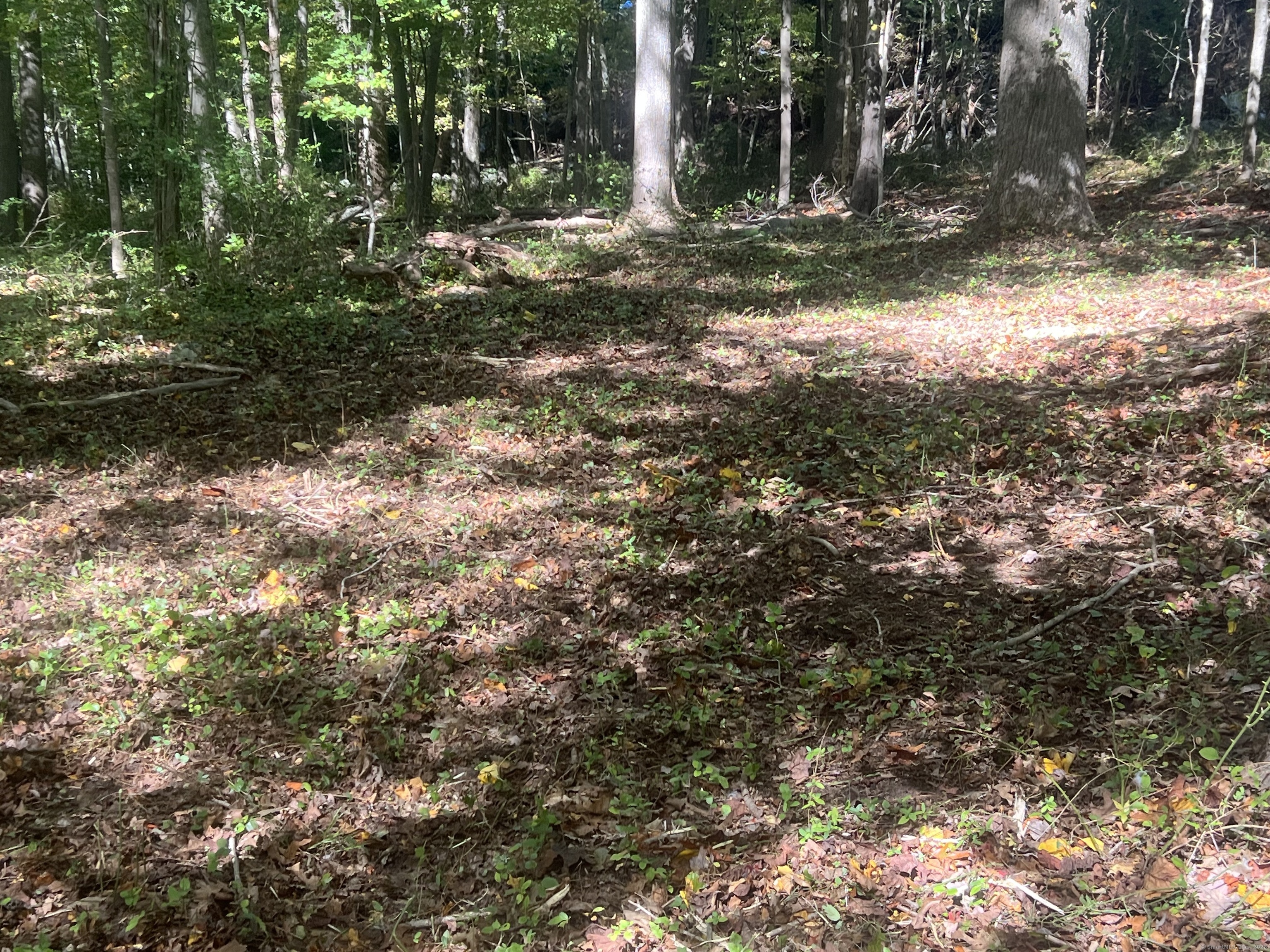 77 Foster Road Waterford, CT 06385 - Photo 7 of 7