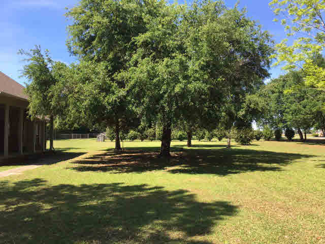 14967 Daugherty Road Foley, AL 36535 - Photo 5 of 47