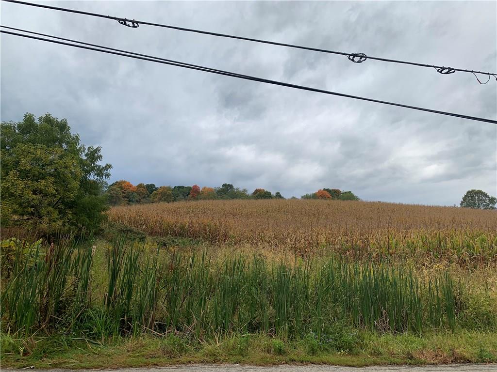 Lot Mendon Mendon Road Smithton, PA 15479 - Photo 3 of 5 Gallery Image 3