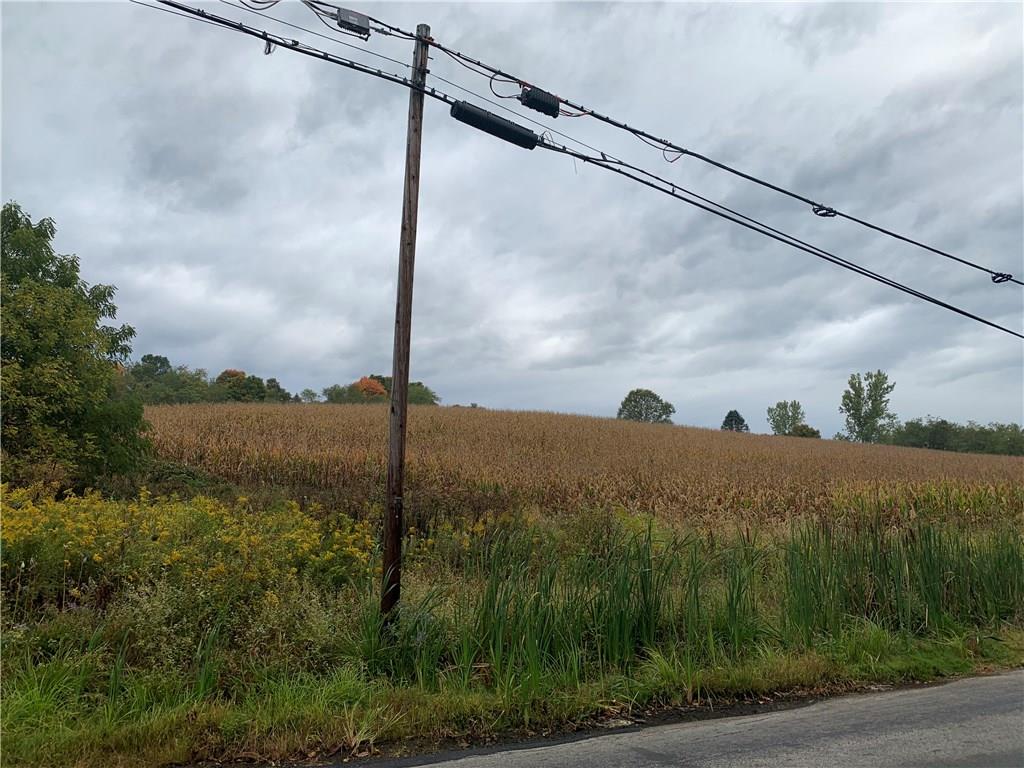 Lot Mendon Mendon Road Smithton, PA 15479 - Photo 4 of 5 Gallery Image 4