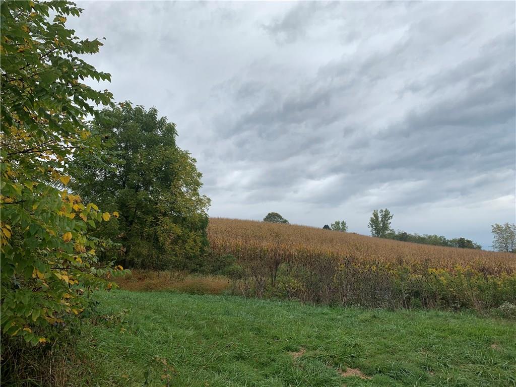 Lot Mendon Mendon Road Smithton, PA 15479 - Photo 5 of 5 Gallery Image 5