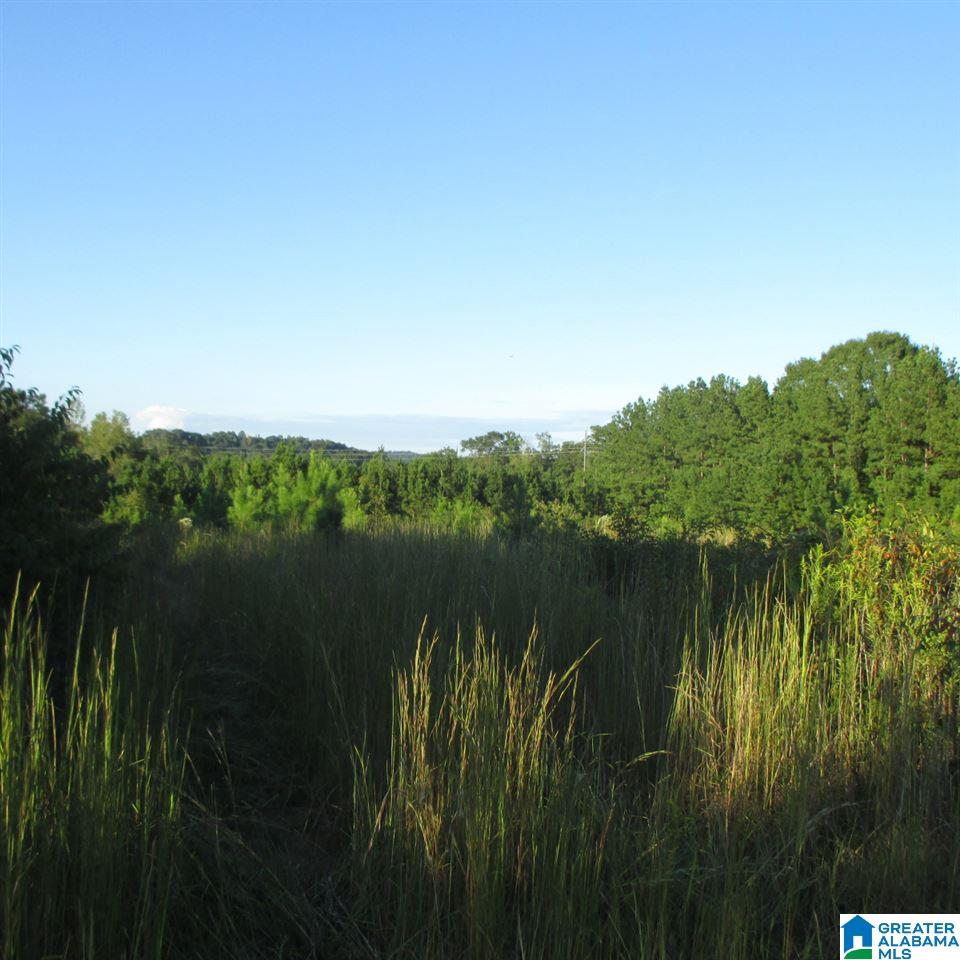 0 County Road 15, Unit 16 Cleveland, AL 35049 - Photo 2 of 5