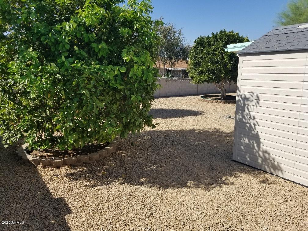 10249 West Burns Drive Sun City, AZ 85351 - Photo 30 of 30 a view of a yard with plants and trees