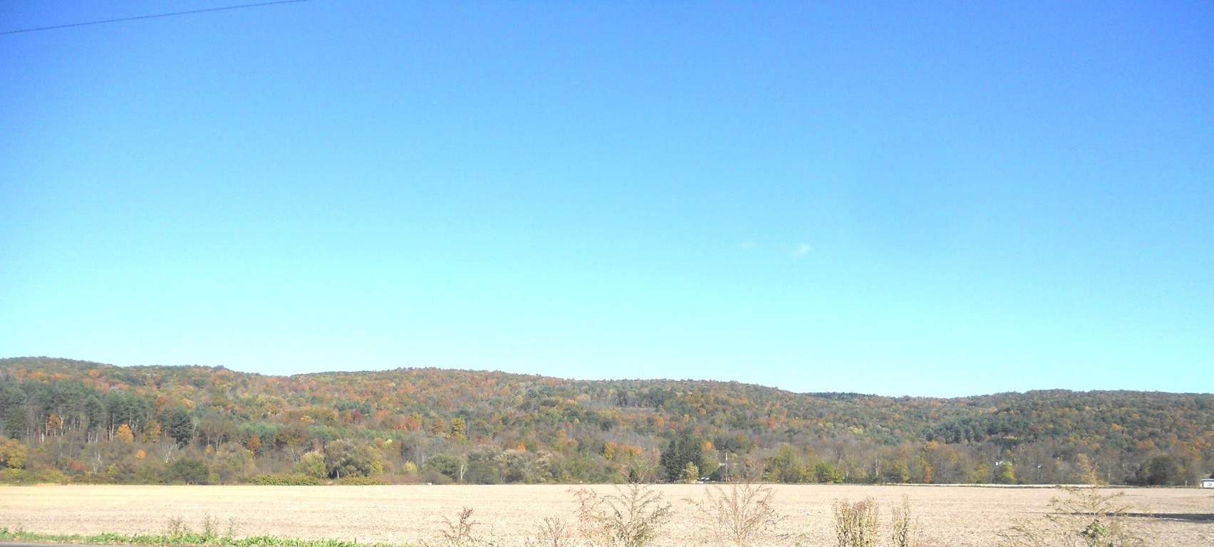 18 Honeypot Road Candor, NY 13743 - Photo 35 of 50 Gallery Image 35