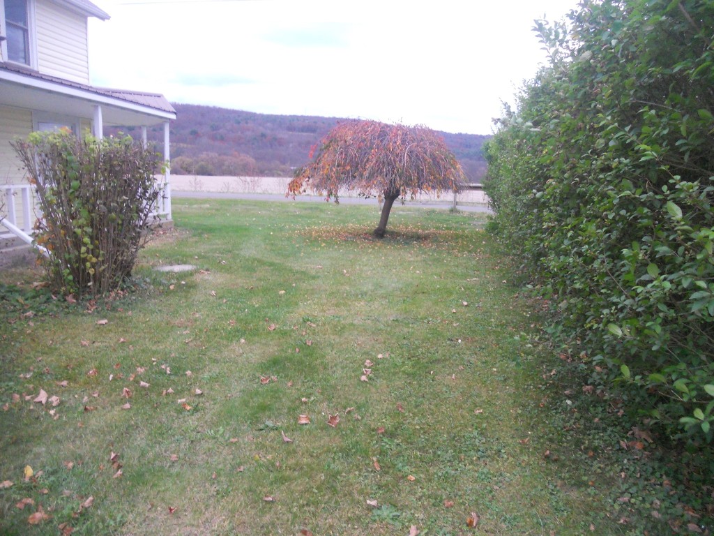 18 Honeypot Road Candor, NY 13743 - Photo 48 of 50 Gallery Image 48