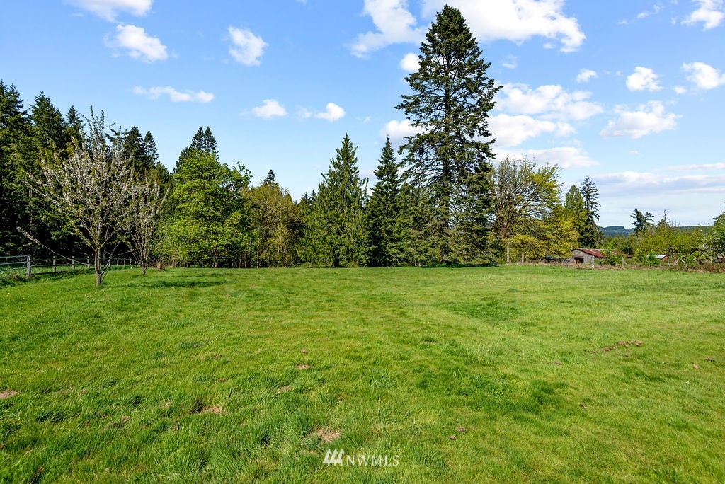 390 Waters Road Castle Rock, WA 98611 - Photo 8 of 27 Gallery Image 8