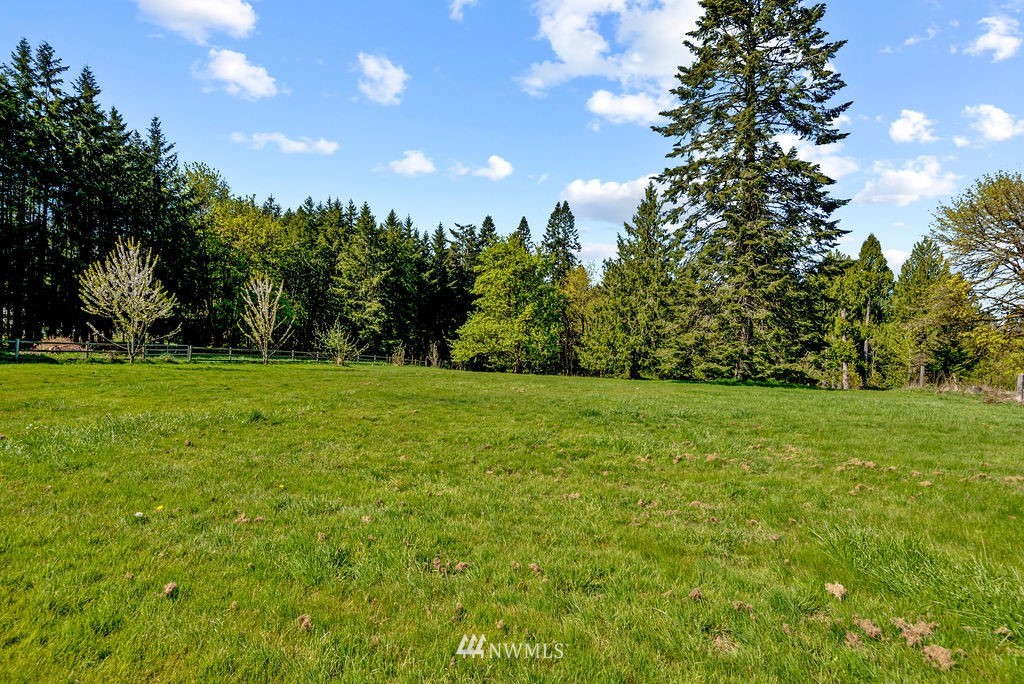 390 Waters Road Castle Rock, WA 98611 - Photo 9 of 27 Gallery Image 9