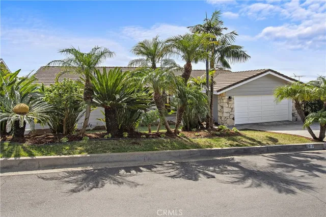 a view of a house with a yard and plant