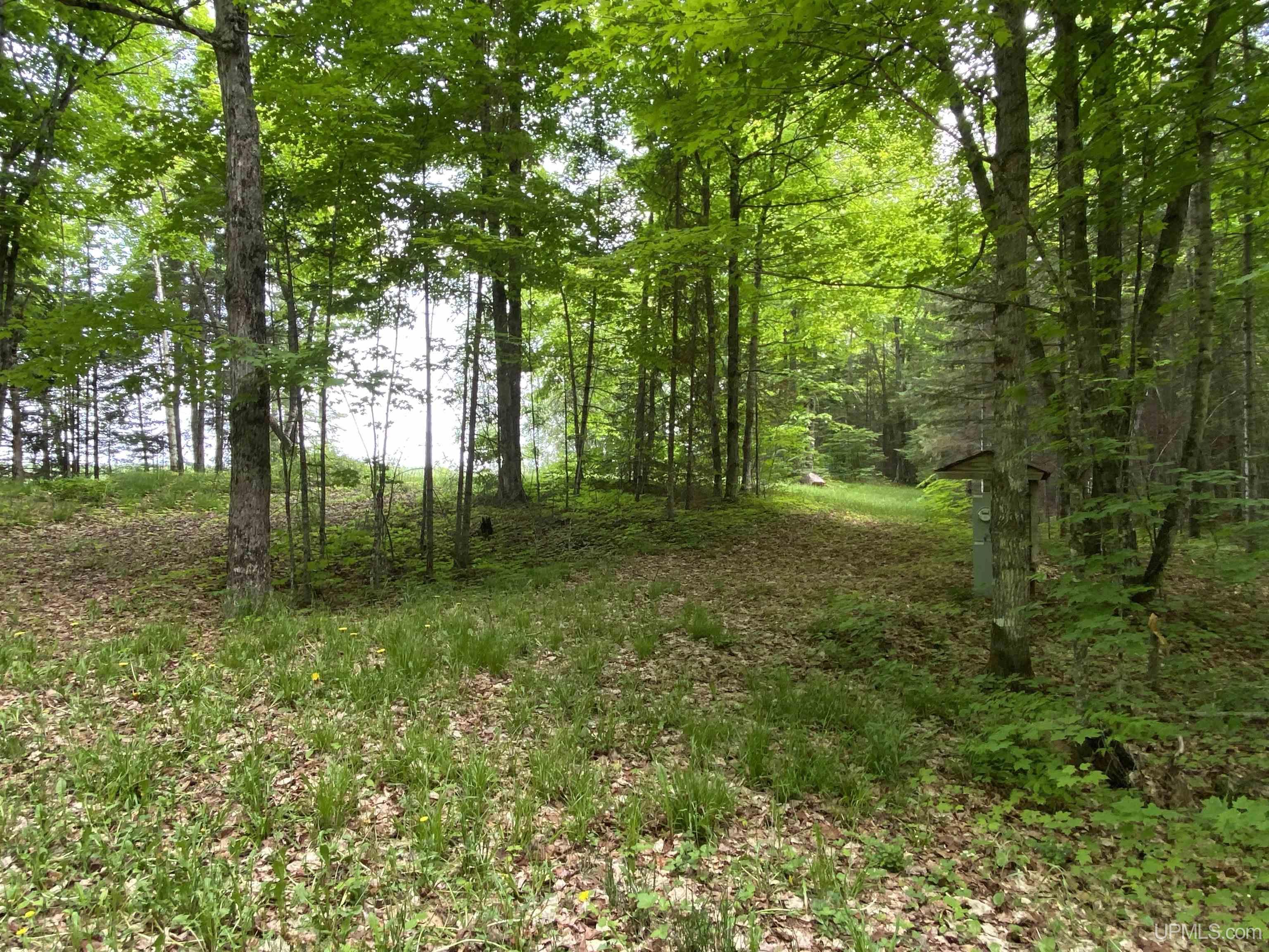 On On Hawk Lake Road Marenisco, MI 49947 - Photo 8 of 26