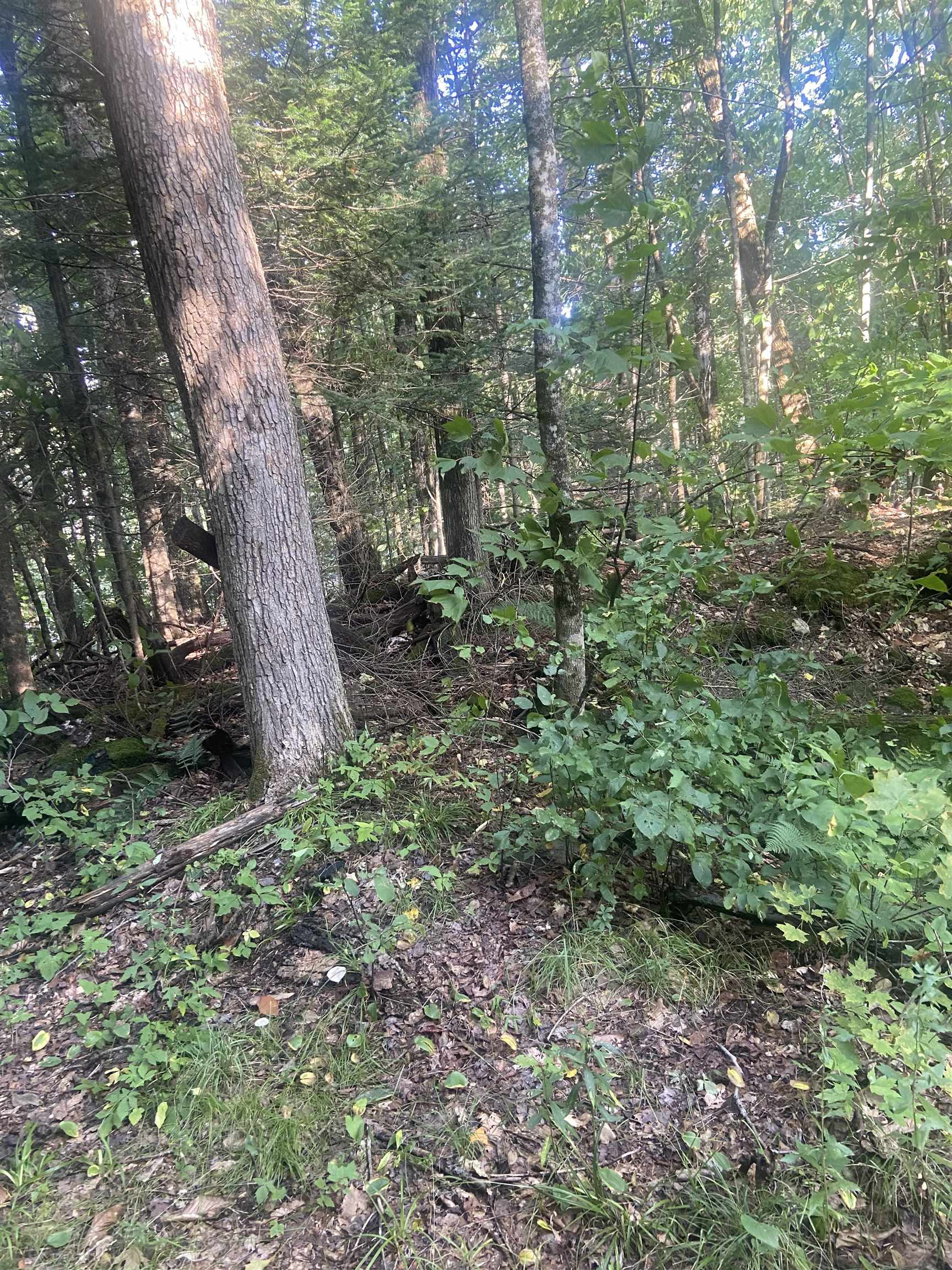 1138 S Road Peru, VT 05152 - Photo 3 of 5