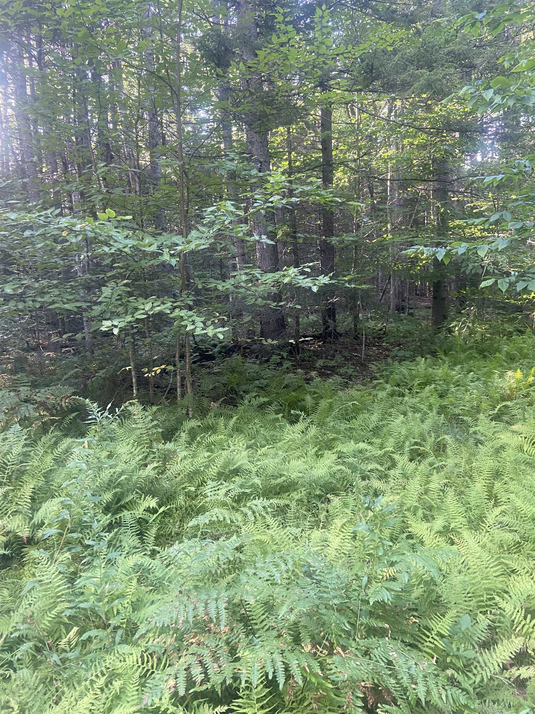 1138 S Road Peru, VT 05152 - Photo 5 of 5