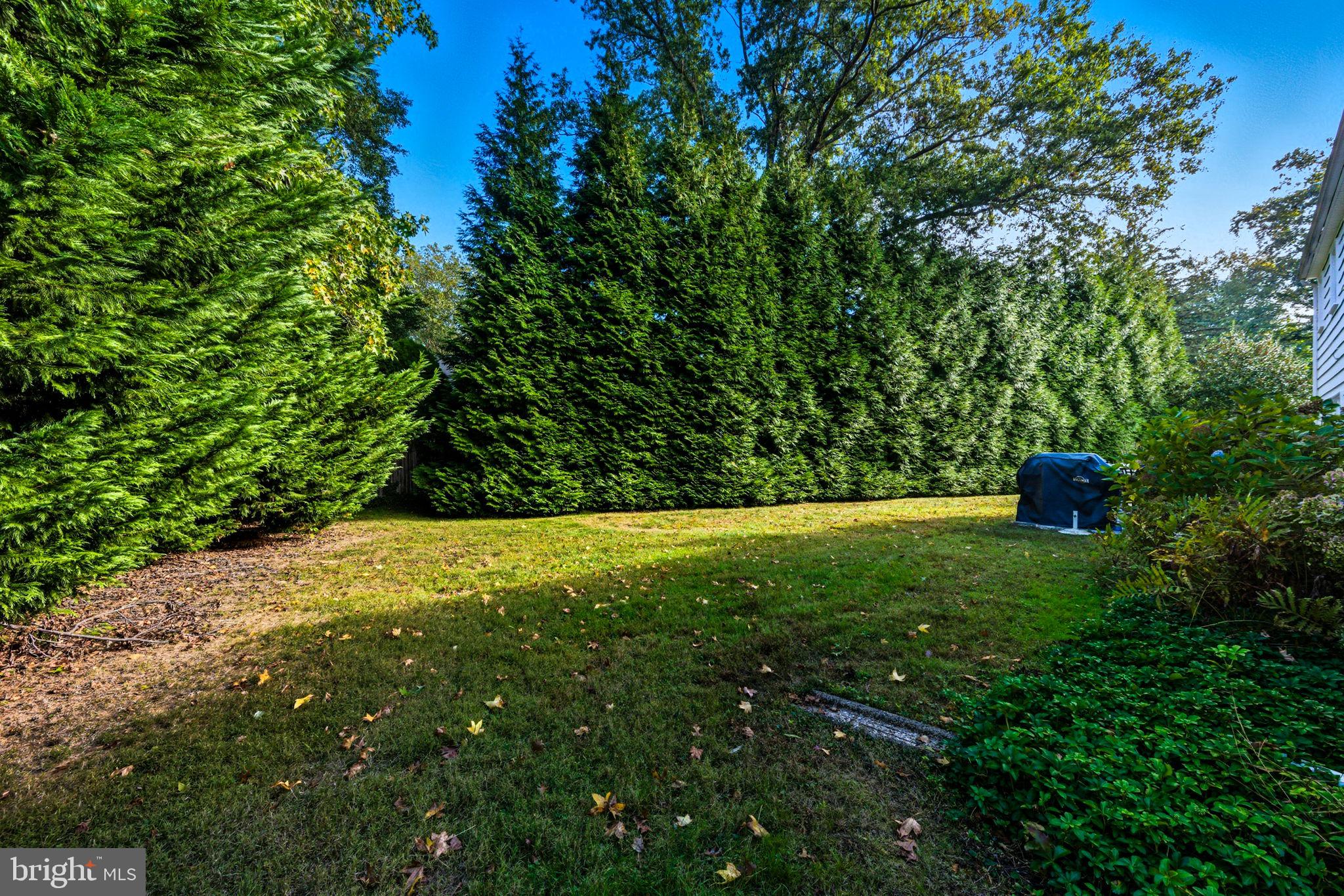 210 Cooper Drive Wallingford, PA 19086 - Photo 36 of 47 a view of a yard with a trees