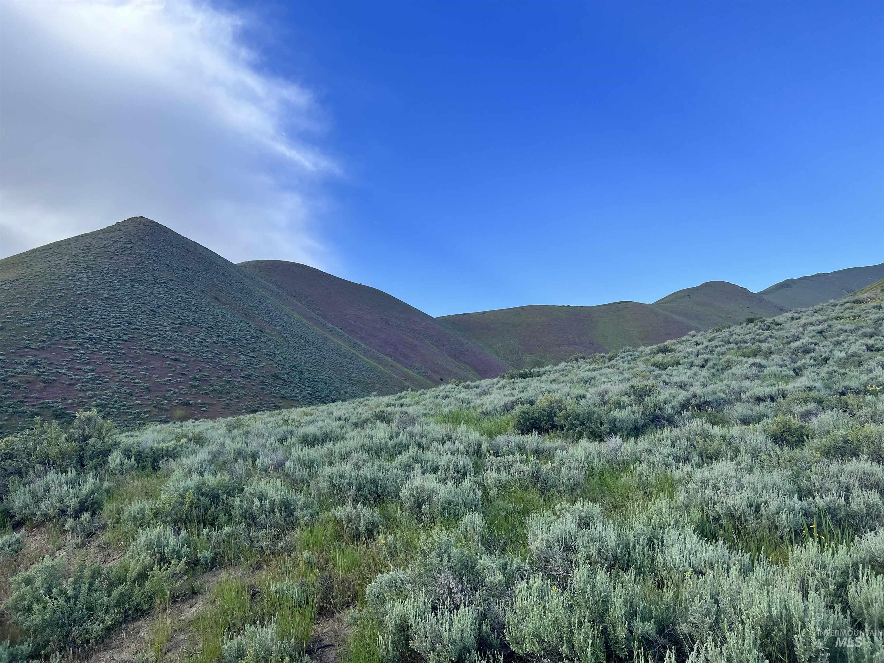 Tbd Tbd Tbd Hailey, ID 83333 - Photo 11 of 14