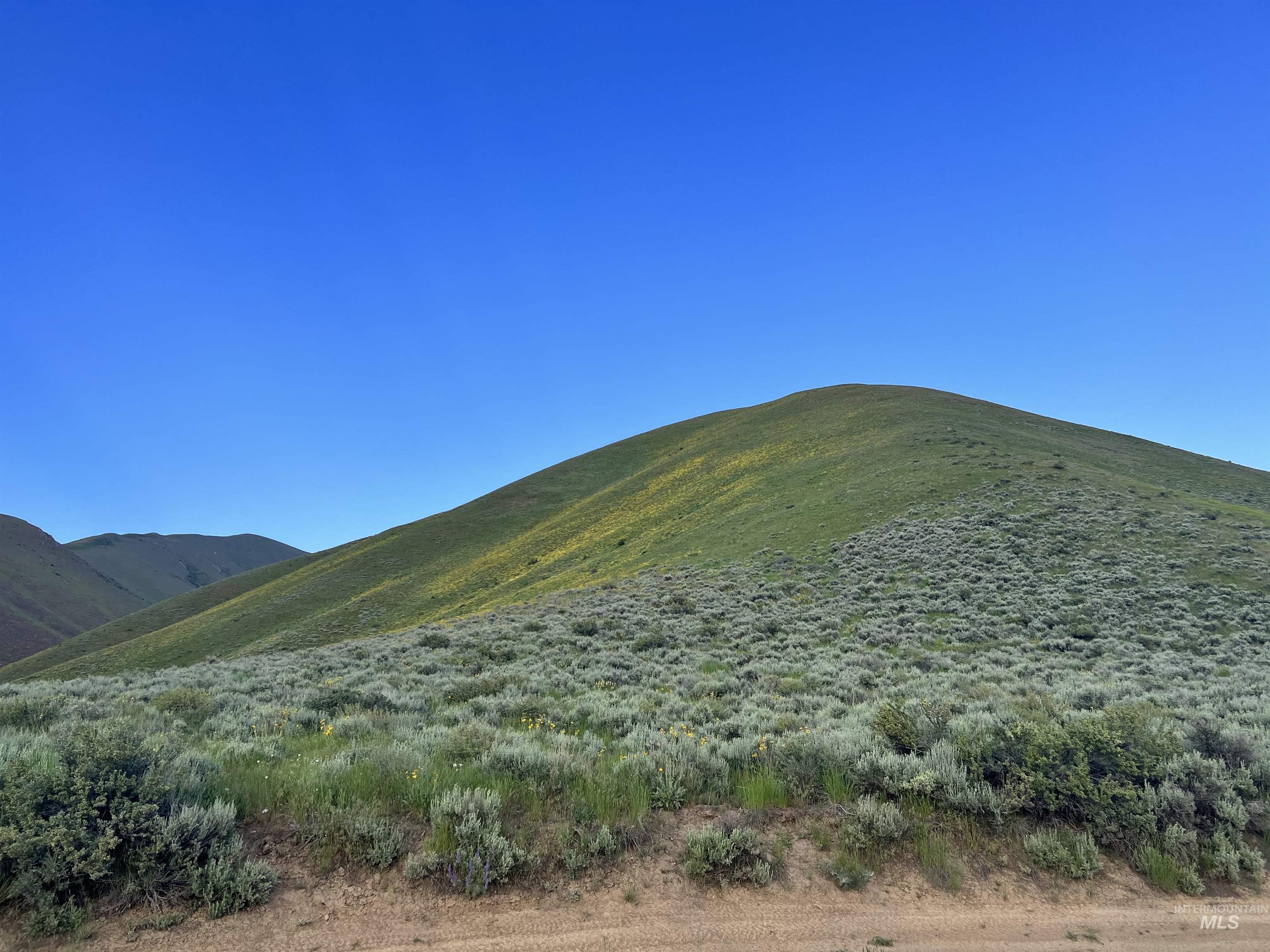 Tbd Tbd Tbd Hailey, ID 83333 - Photo 5 of 14