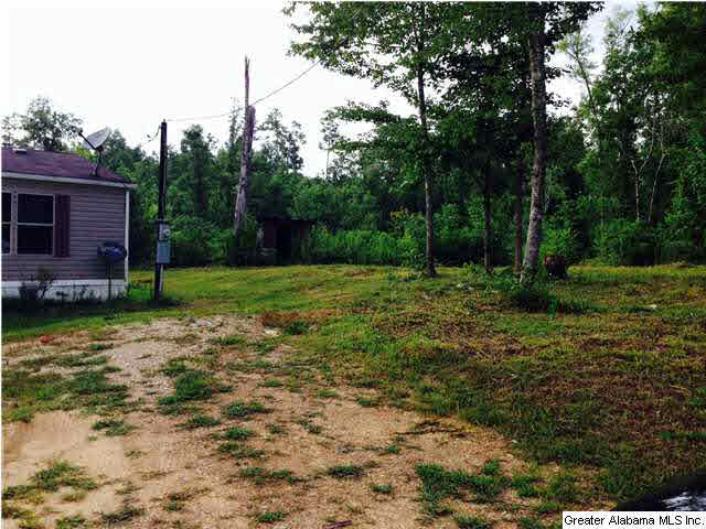2615 6 Foot Road Ohatchee, AL 36271 - Photo 19 of 22