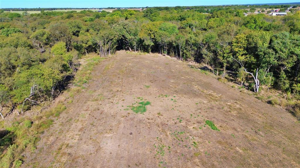 0 Bee Creek Road Maypearl, TX 76064 - Photo 20 of 39 a view of a dry yard with trees in the background