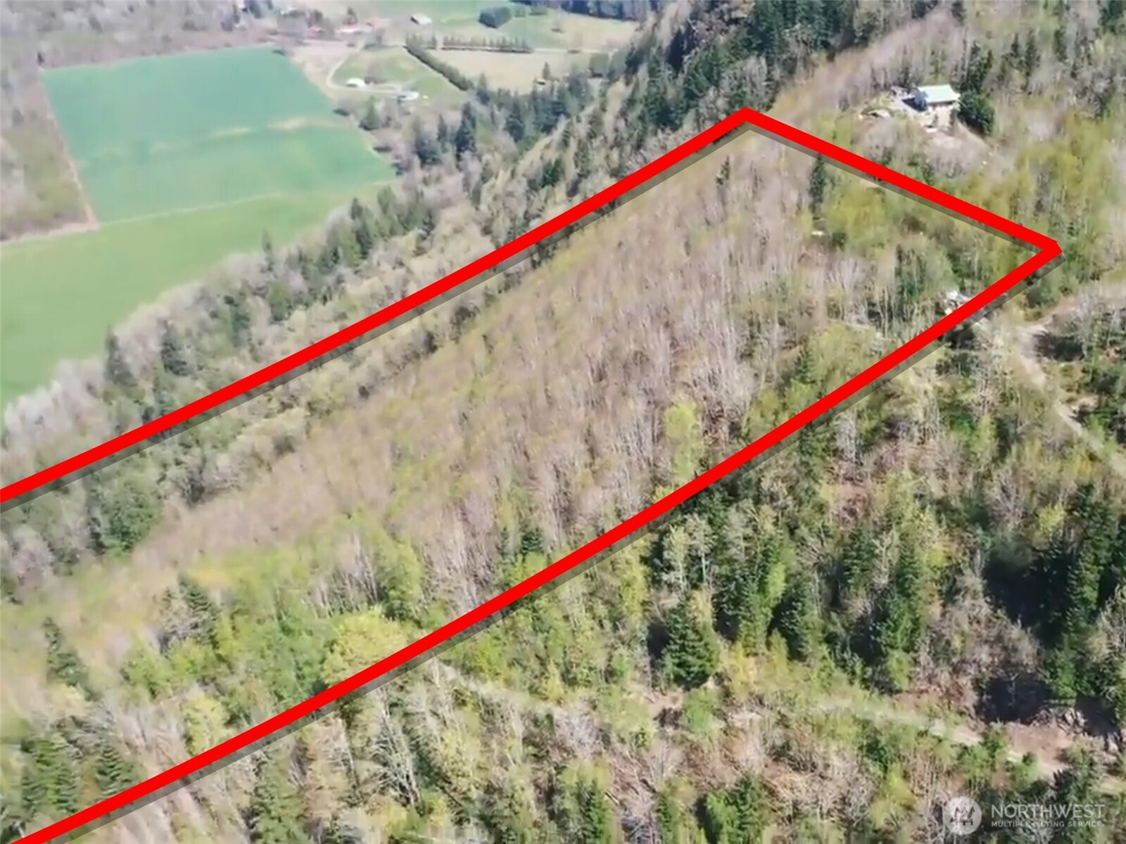 5615 South Pass Road Sumas, WA 98295 - Photo 12 of 30