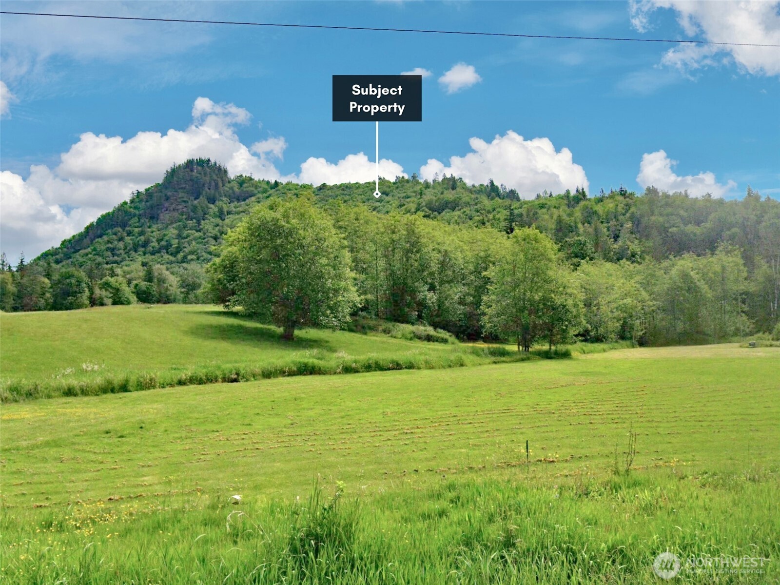 5615 South Pass Road Sumas, WA 98295 - Photo 14 of 30