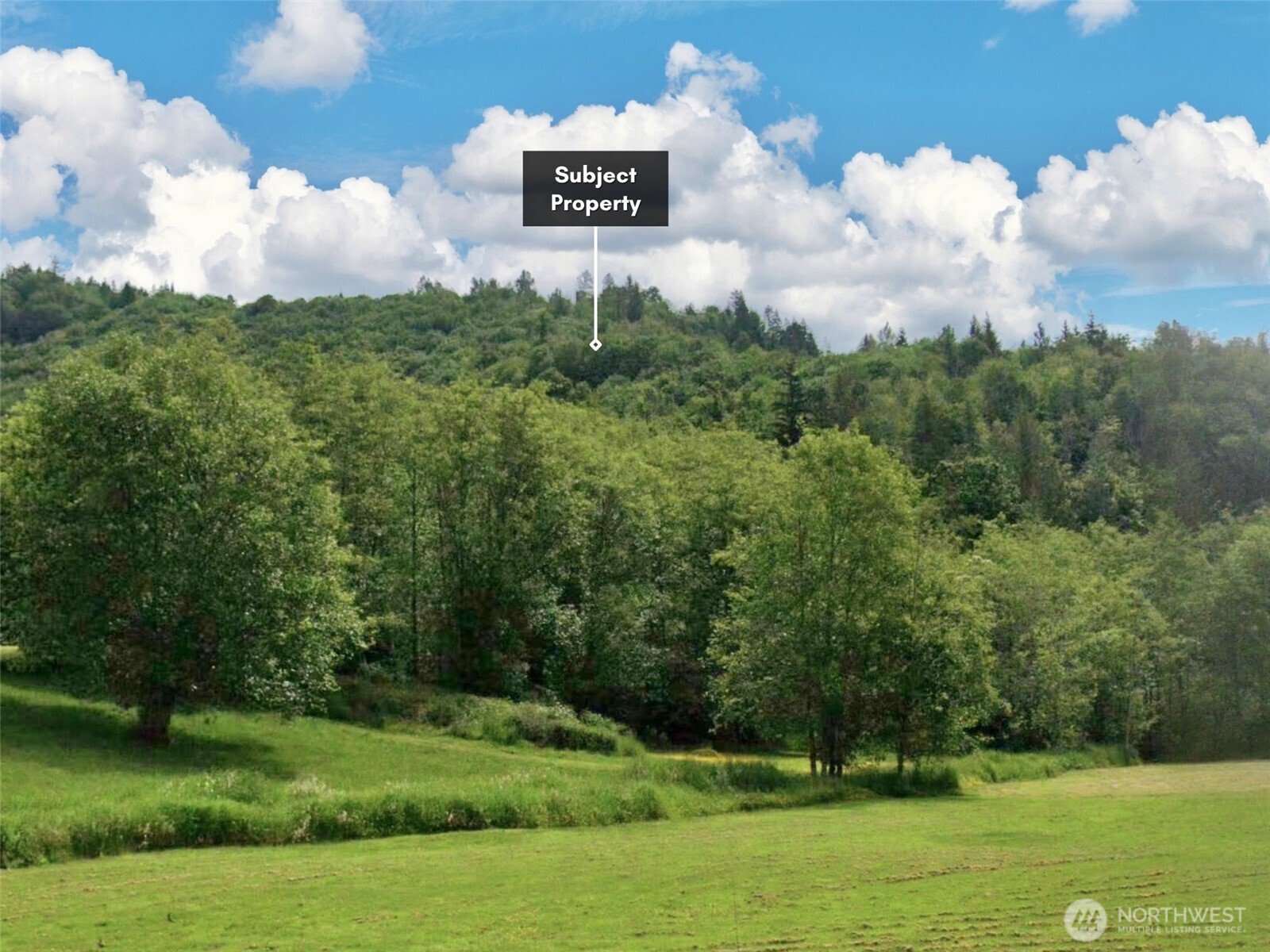 5615 South Pass Road Sumas, WA 98295 - Photo 15 of 30