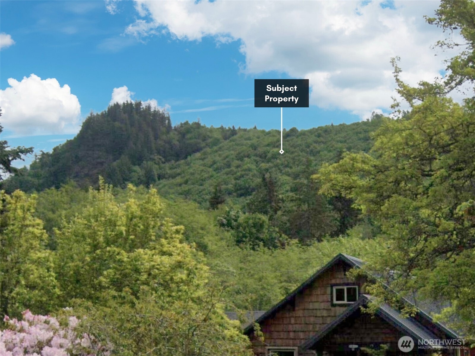 5615 South Pass Road Sumas, WA 98295 - Photo 16 of 30