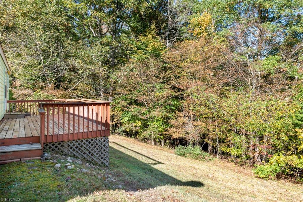 1126 Radhas Way Sandy Ridge, NC 27046 - Photo 22 of 22 back xiew