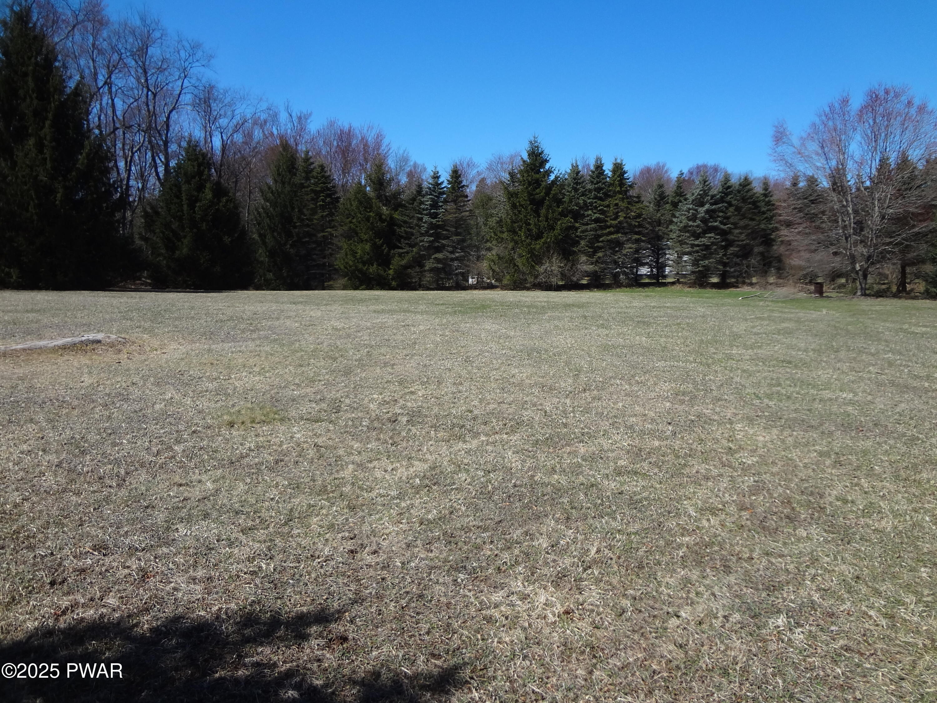 364 Roemerville Road Greentown, PA 18426 - Photo 36 of 45 Back Yard