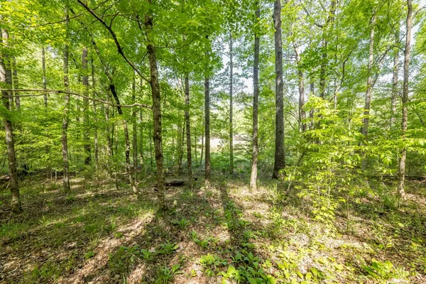 $175,000 | Lot 37 Dakota Trail, Fortson, GA 31808