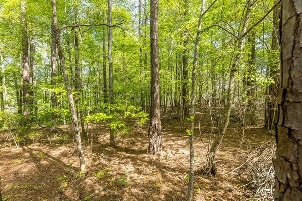$175,000 | Lot 37 Dakota Trail, Fortson, GA 31808