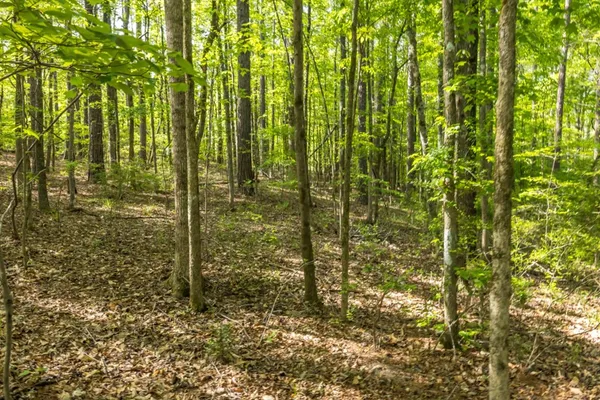 $175,000 | Lot 37 Dakota Trail, Fortson, GA 31808