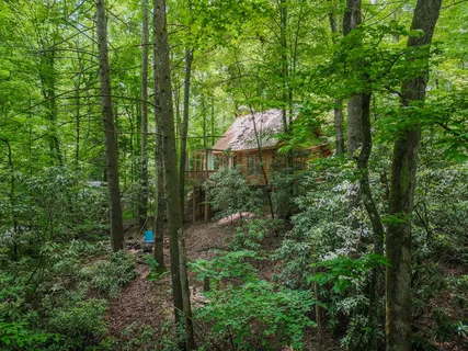 $339,000 | 14 Finch Lane, Blue Ridge, GA 30513