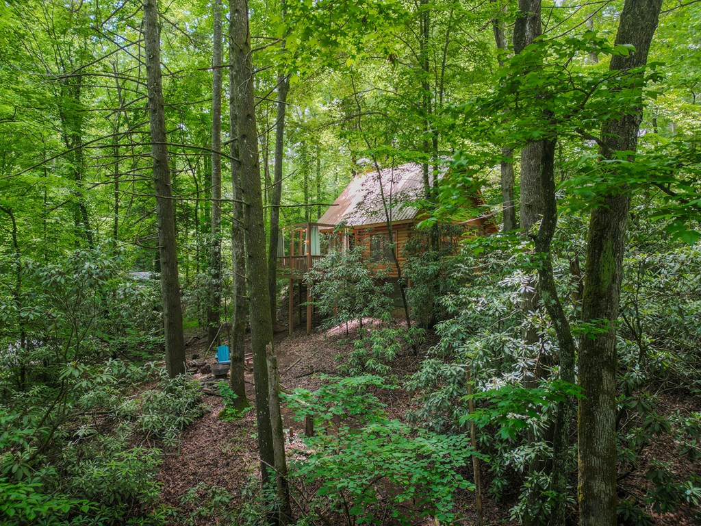 14 Finch Lane Blue Ridge, GA 30513 - Photo 19 of 24