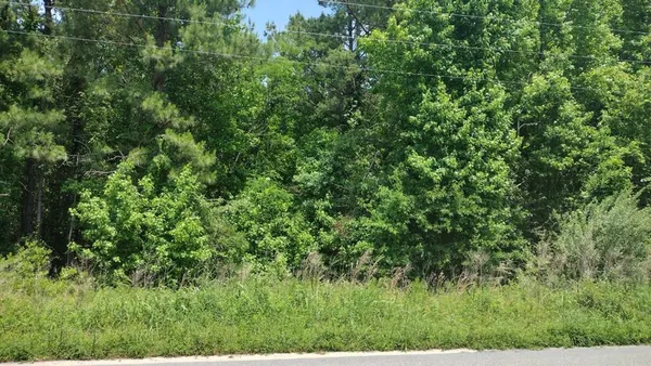 $12,000 | -lot1 Meagen Lane, Manning, SC 29102