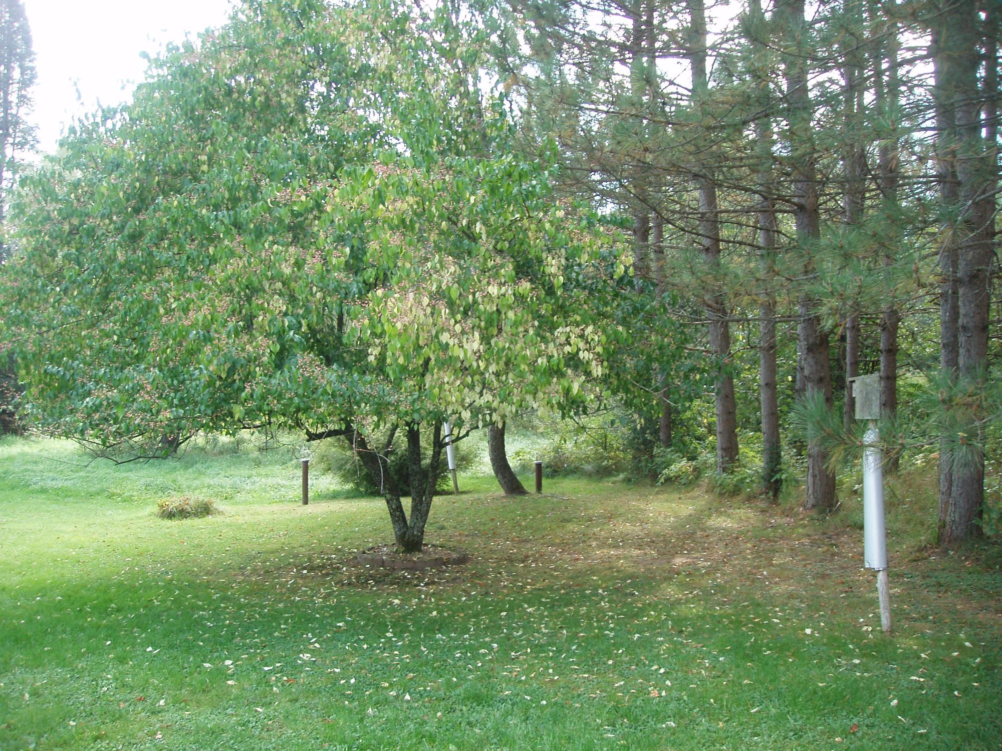 W10485 County Line Road Butternut, WI 54514 - Photo 14 of 90 Gallery Image 14