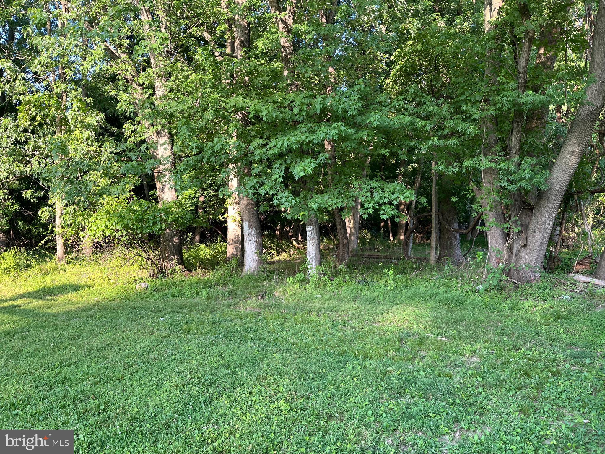 1837 Larkin Road Upper Chichester, PA 19061 - Photo 6 of 10