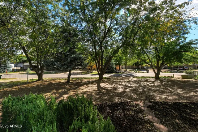 a view of a tree in the middle of a yard