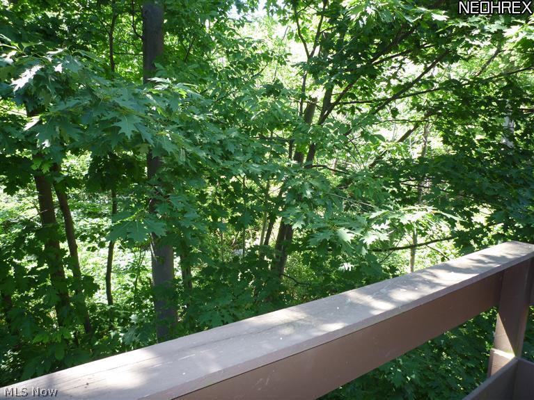 4655 Mayfield Road, Unit F South Euclid, OH 44121 - Photo 5 of 22