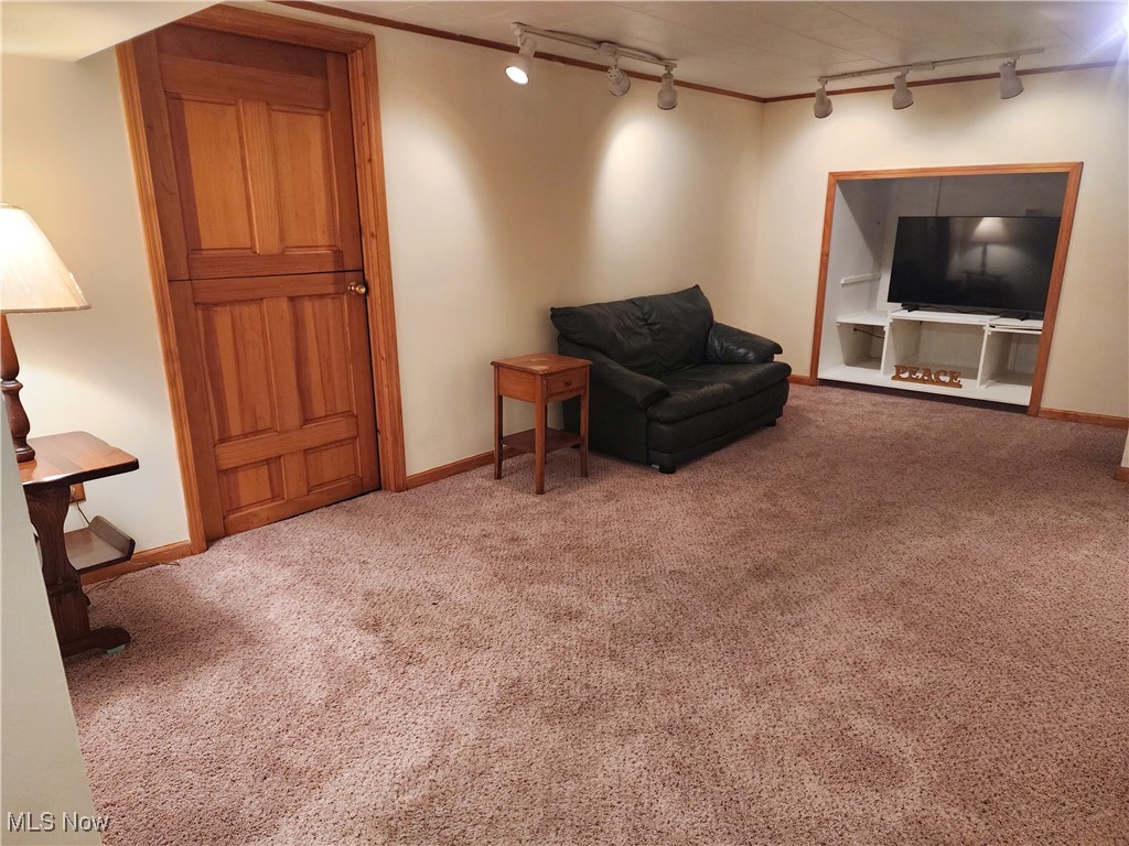 3336 Daleford Road Cleveland, OH 44120 - Photo 40 of 49 Cozy Partially Finished Basement!