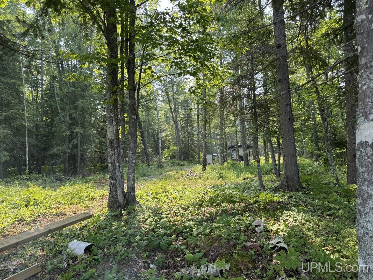 Tbd Gauthier Road Skanee, MI 49962 - Photo 9 of 16 Gallery Image 9