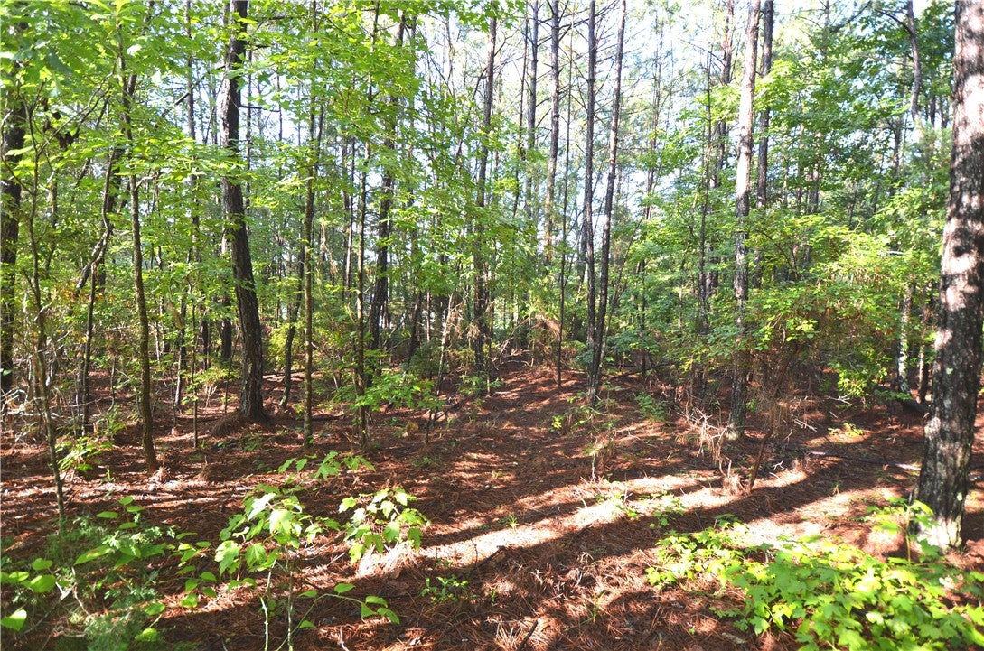 Lot 2 Oak Bowery Road Opelika, AL 36801 - Photo 3 of 10 Gallery Image 3