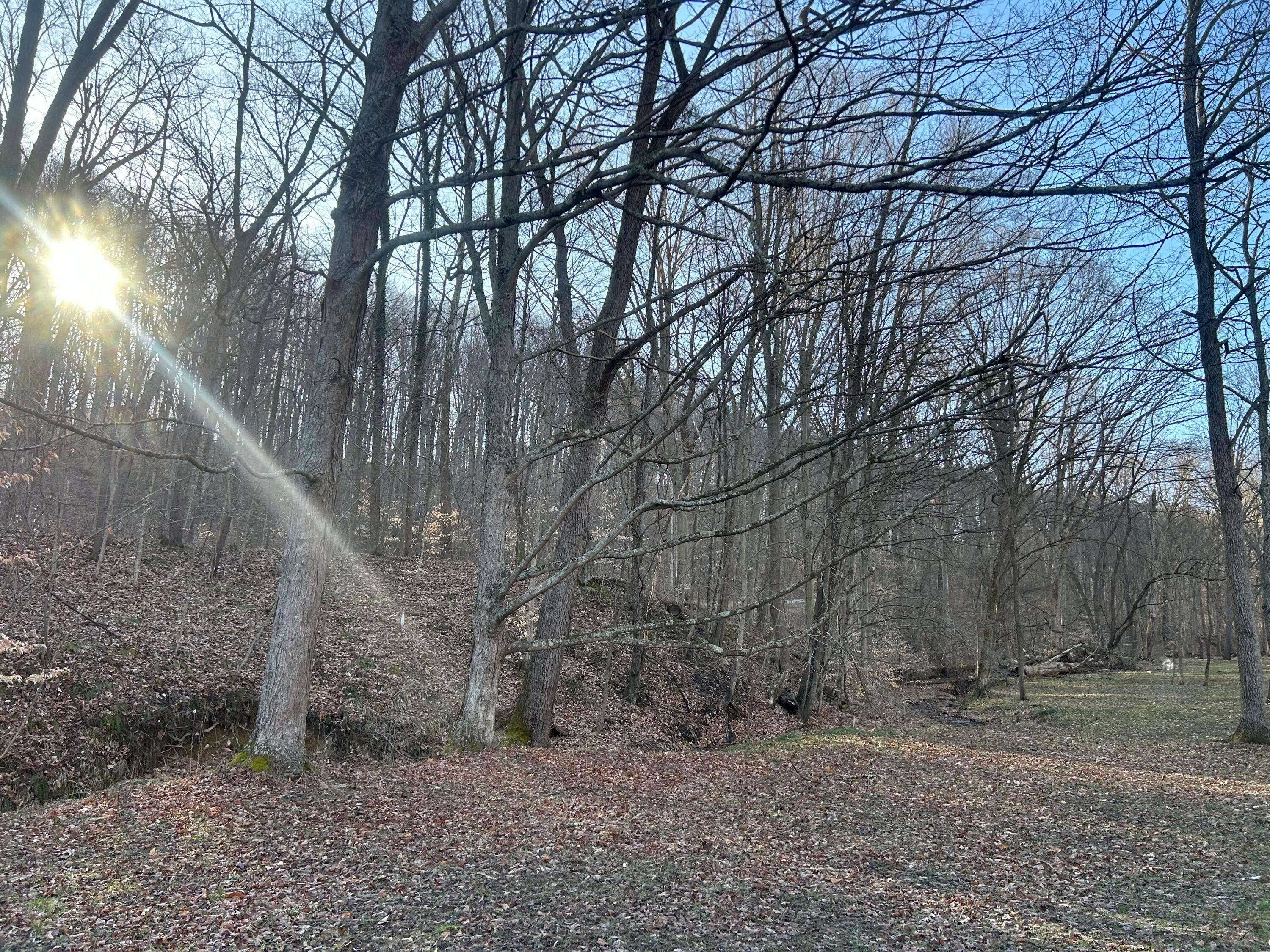 0 Hansley Road Southeast Sugar Grove, OH 43155 - Photo 26 of 27 B0C8CF81-54FA-43E3-A653-DF2F6C6D1A97