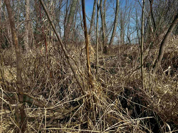 $369,000 | County Street North, Waldo, WI 53093